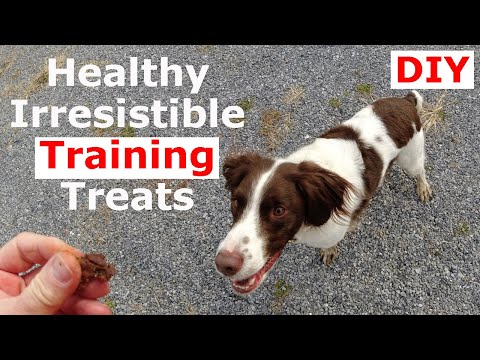DIY Healthy Dog Treats for Your Brittany Spaniel Dog -...