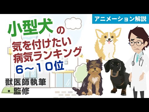 犬の最も一般的な病気