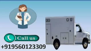 Hi-tech Road Ambulance Service in Danapur Bihta by Medivic at Low Cost