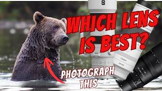 What Lens to Bring for Alaska Bears?