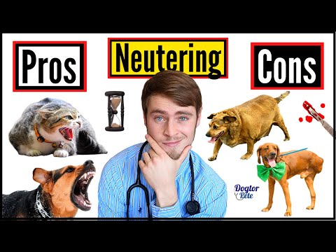 The Spay And Neuter Controversy - Everything YOU Need To Know! | | Pros & Cons Of Neutering Your Pet