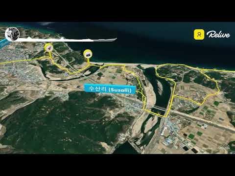 relive 2021-0825 scalpel-si