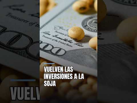 Vuelven las inversiones a la soja tras 12 años #shorts