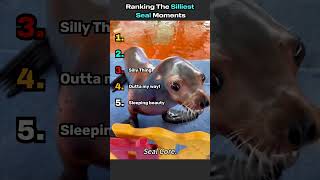 Ranking Seals By How Dumb They Are #AnimalMoments #Shorts