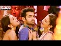 Pandaga Chesko Title Song Trailer Pandaga Chesko Songs Ram Rakul Preet Singh Sonal Chauhan