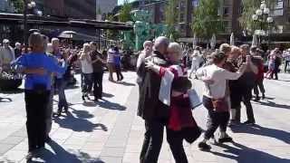 preview picture of video 'flashmob MLTF Umeå-14 ©folkerubin'