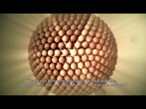 Video Sesderma Factor G Renew Sérum Regenerador 30ml