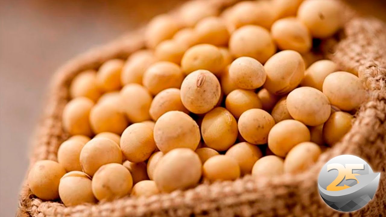 Entrevista com Ginaldo de Sousa - Diretor Geral do Grupo Labhoro sobre o Fechamento de Mercado da...