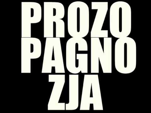 04 RPW-Perwera''PROZOPAGNOZJA 2011''