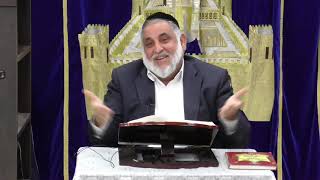 הרב בנימין שהר שליט"א פרשת חקת [יהודי לא שואל למה]