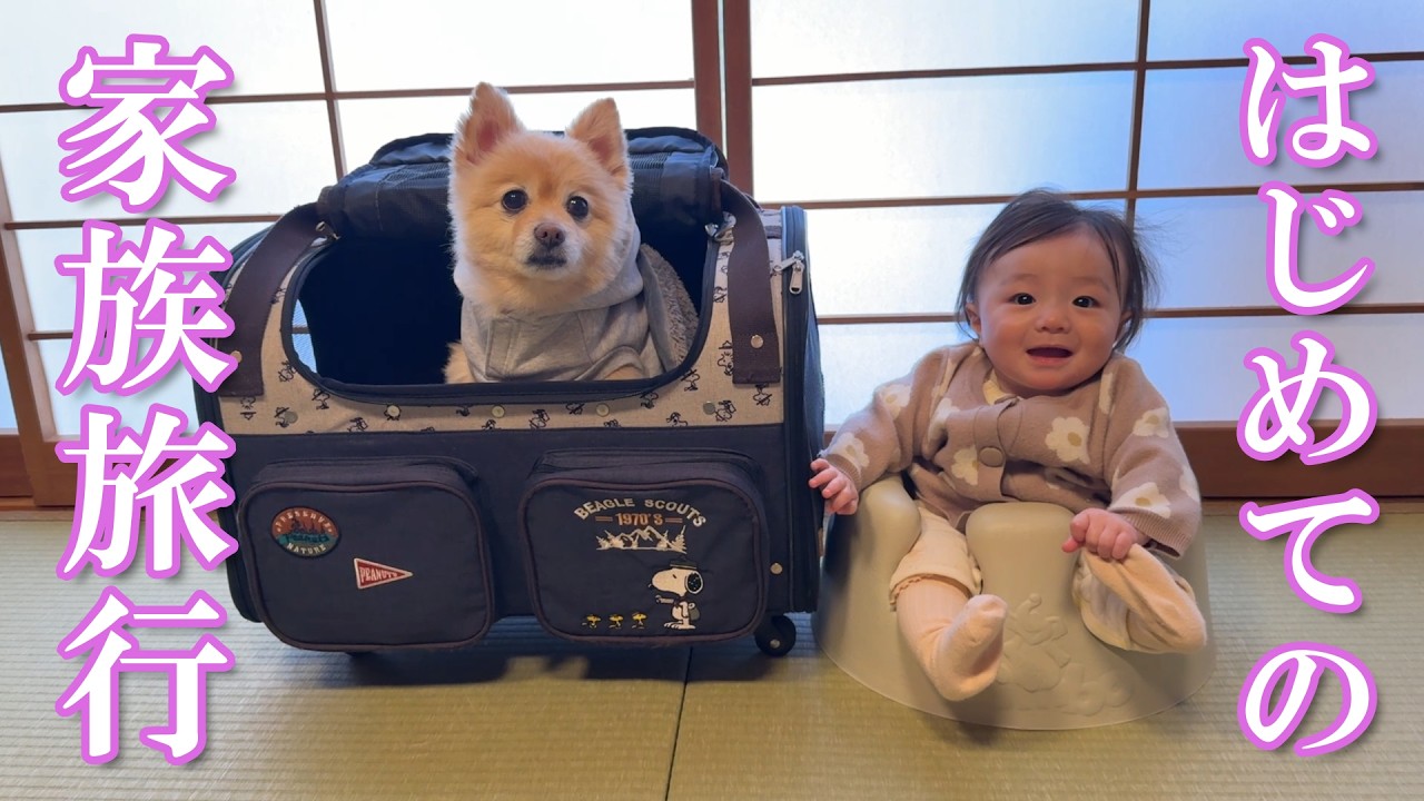 【家族旅行】愛犬と一緒に泊まれる温泉旅館に行ってきました！【鬼怒川温泉 絆】