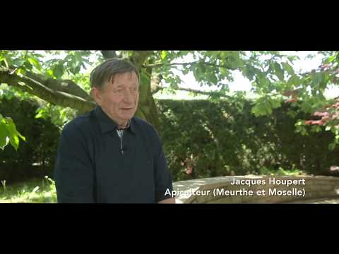Voir la vidéo : Jacques Houpert, Apiculteur