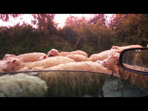 DWA AfroFest  2016 - 02- 05 June, Roma