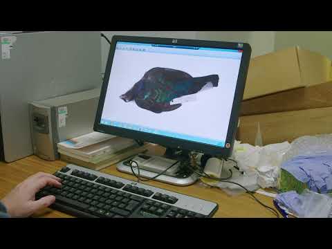 Spotlight - Alfred Russel Wallace