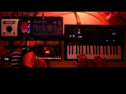 065▶️ 909 (Korg Minilogue Xd // Erica Synths DB01 + H9 + Pill // Roland TR6S // Dreadbox Nymphes)