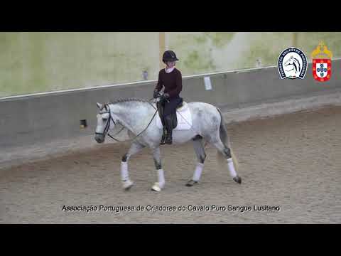 220428 2 Proj Ensino APSL&FEP - Teresa Barbosa com Oriental da Caniceira