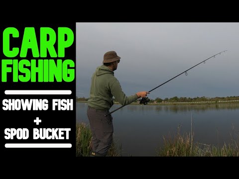 CARP FISHING| day sessions at the BIG PIT!
