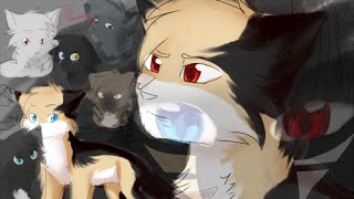 &quot;Holy&quot; - STORYBOARD