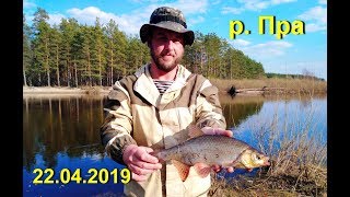 Река пра рязанская область отчеты о рыбалке форум