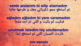 alişan  zor sensiz