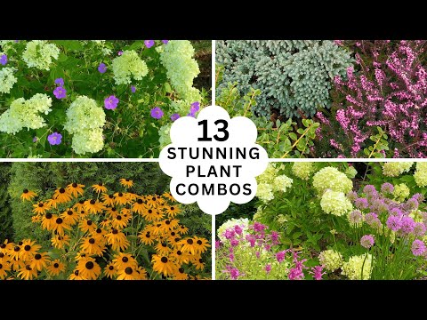 13 Stunning Plant Combinations That Look Great Year Round
