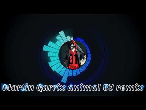 Martin Garrix animal DJ remix song #martingarrix