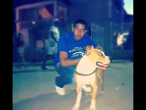 rOmano Rap Kay1 fT LorBoy & EddYbOY  ' PRESENT' 2O12 SONG !.