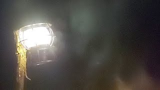 ソロキャンプしながら雑談する配信