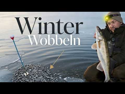 Wobbler Zander im Februar. Bewährte Taktik bringt auch JETZT noch Fisch