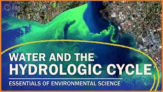 The Water Cycle and Water Pollution | Essentials of Environmental Science