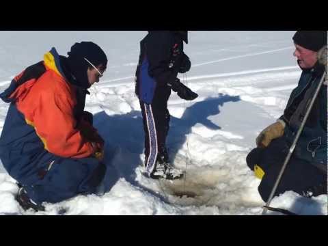 Isoa haukea koukulla