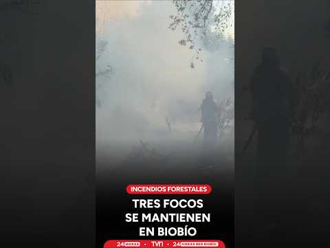 Tres focos de incendios se mantienen en Biobío, el más complejo es el de Santa Fe en Los Ángeles