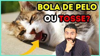 Como Distinguir Bola de Pelo Entalada de Doença Respiratória em Gatos?