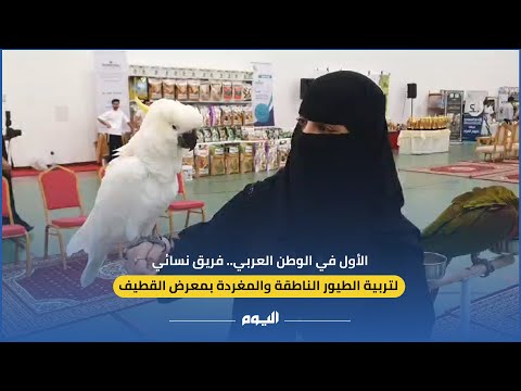 لأول مرة في الوطن العربي.. فريق نسائي لتربية الطيور الناطقة والمغردة