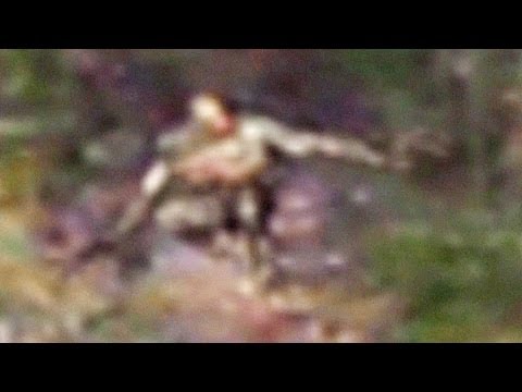 俄勒冈森林惊现神秘长臂怪物(视频)