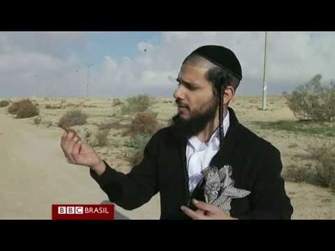 Gafanhotos invadem Israel como nas pragas do Egito