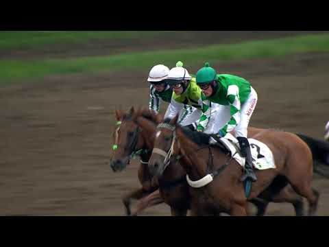 PE, 7. 9. 2019, 7. dostih - Cena Irakliona za podpory CRYSTAL GLAMOUR, a.s.