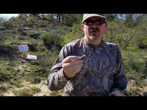 Best Grizzly Bear Bullet? Hornady Backcountry Defense Ammo Review
