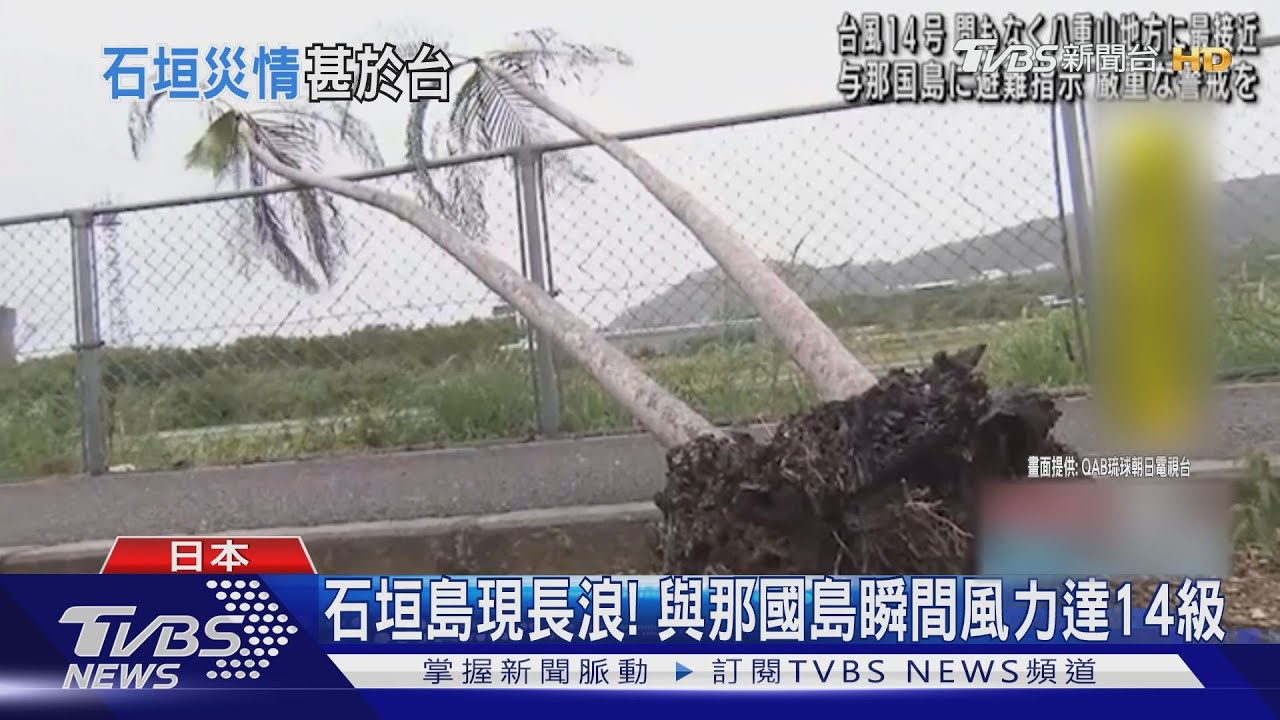 颱風東側災情較慘!日石垣島逾6000戶停電 空海運全斷