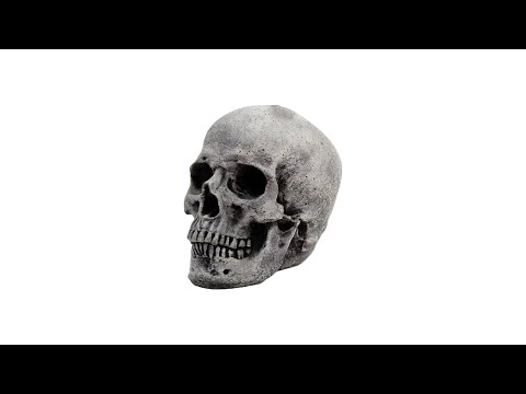 Menend - thru the night ᐸ/3