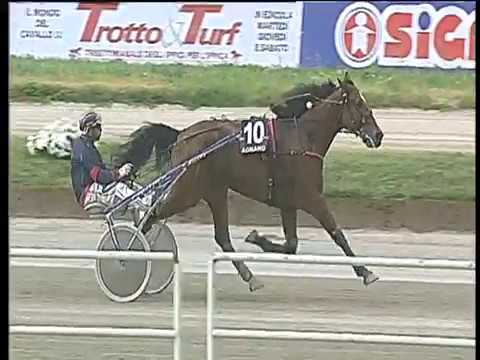 Trotto 04/05/2018 - 3ª corsa