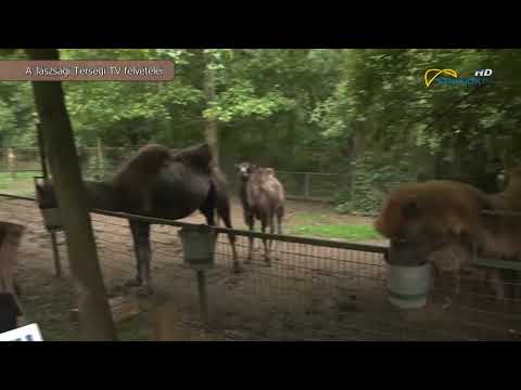 Aktuális 2020.07.02.