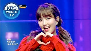 Cherry Bullet(체리블렛) - Q&amp;A [Music Bank / 2019.02.08]