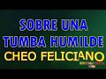 Sobre una tumba humilde - Cheo feliciano+Letra