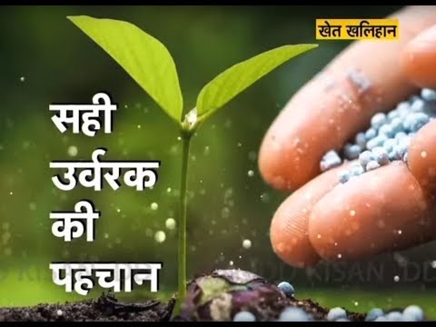 Get to know about Right Fertiliser from Comfort of your Home