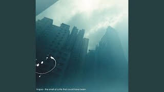 Transparent Barriers