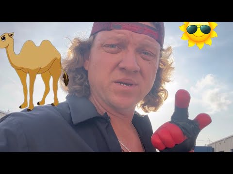 Mastering the MACK camel 🐪 back