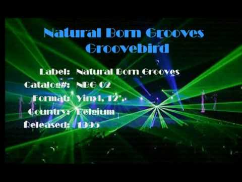 Natural Born Grooves - Groovebird