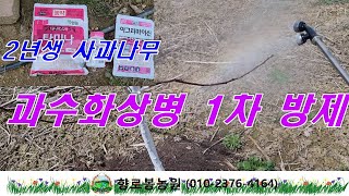 2년차 사과나무 과수화상병 1차 방제