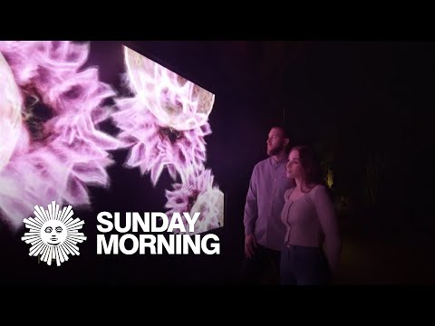 Art and data converge in Arizona's Sonoran Desert